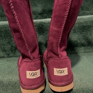 Brand new never worn UGGS